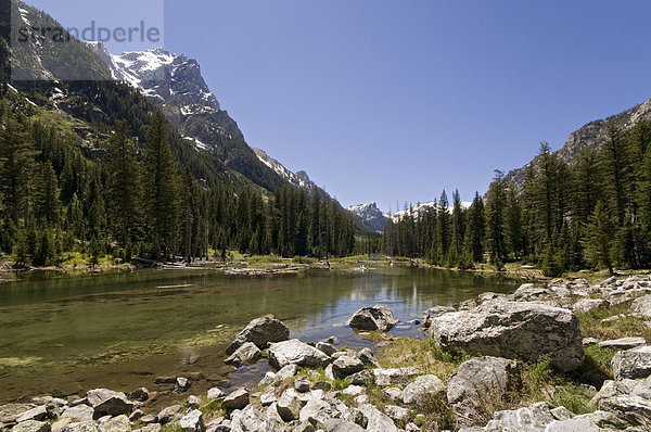 Fluss Cascade Creek  Cascade Canyon  Grand Teton Nationalpark  Wyoming  USA  Nordamerika