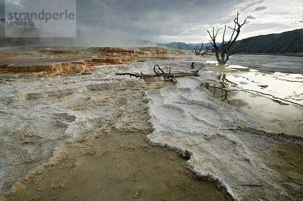 Kalkstein-Terrassen von Mammoth Hot Springs  Yellowstone Nationalpark  Wyoming  USA  Nordamerika