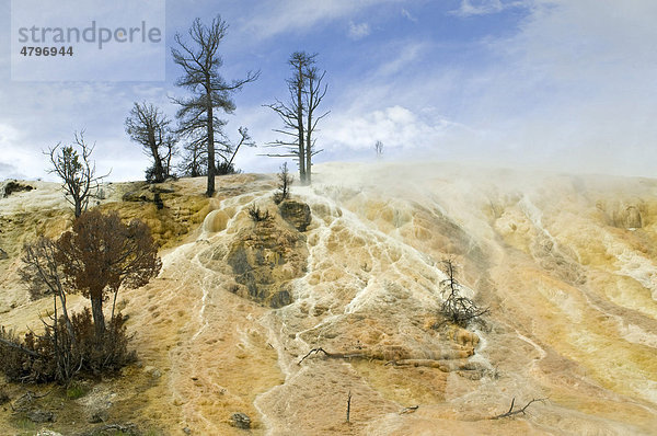 Kalkstein-Terrassen von Mammoth Hot Springs  Yellowstone Nationalpark  Wyoming  USA  Nordamerika