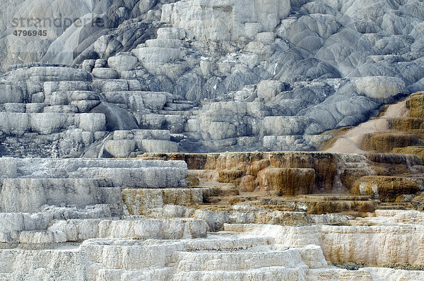 Kalkstein-Terrassen von Mammoth Hot Springs  Yellowstone Nationalpark  Wyoming  USA  Nordamerika