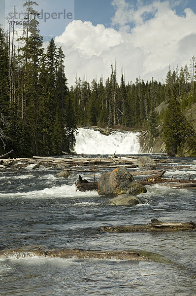 Lewis Falls  Yellowstone Nationalpark  Wyoming  USA  Nordamerika