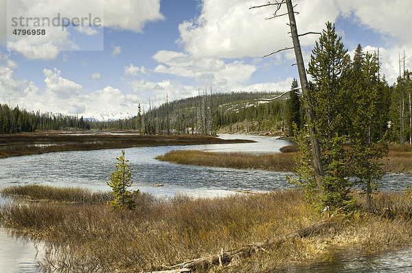 Lewis River bei Lewis Falls  Yellowstone Nationalpark  Wyoming  USA  Nordamerika