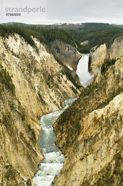 Lower Falls des Yellowstone River  Grand Canyon Of The Yellowstone  Yellowstone Nationalpark  Wyoming  USA  Nordamerika