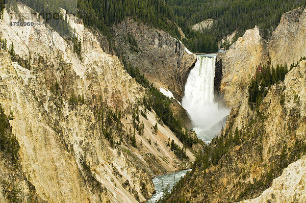 Lower Falls des Yellowstone River  Grand Canyon Of The Yellowstone  Yellowstone Nationalpark  Wyoming  USA  Nordamerika