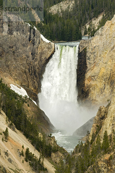 Lower Falls des Yellowstone River  Grand Canyon Of The Yellowstone  Yellowstone Nationalpark  Wyoming  USA  Nordamerika