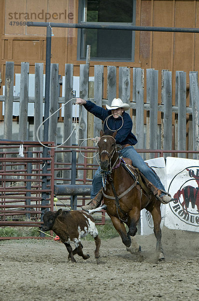 Rodeo  Gardiner  Montana  USA  Nordamerika
