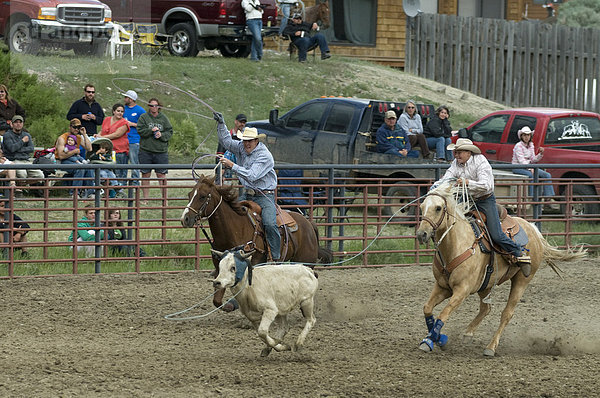 Rodeo  Gardiner  Montana  USA  Nordamerika