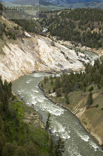 Yellowstone River bei Tower Fall  Yellowstone Nationalpark  Wyoming  USA  Nordamerika