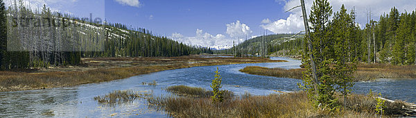 Lewis River bei Lewis Falls  Yellowstone Nationalpark  Wyoming  USA  Nordamerika