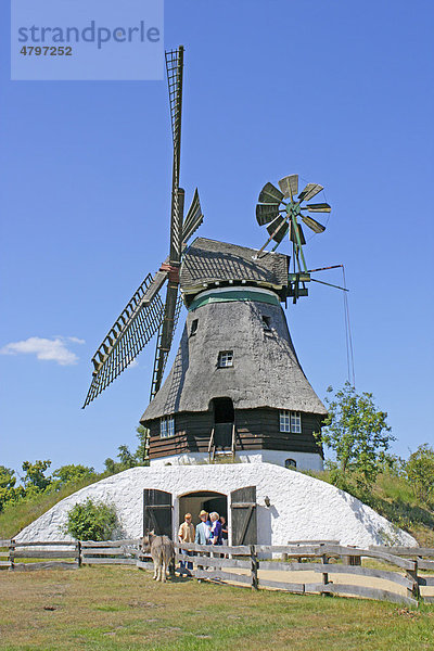 Windmühle im Mühlenmuseum Gifhorn  Niedersachsen  Deutschland  Europa