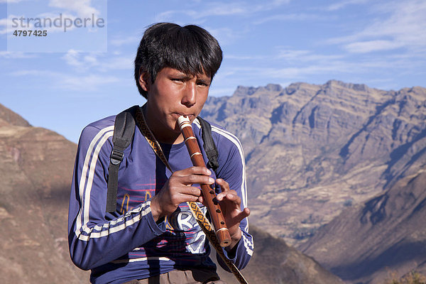 Flötenspieler bei den Inka-Ruinen bei Pisac  Andenhochland  Peru  Südamerika