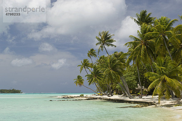 Strand  Bora-Bora  Französisch-Polynesien  Pazifischer Ozean