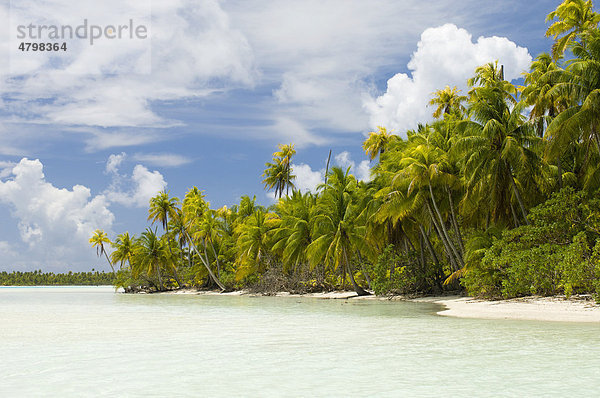 Blue Lagoon Lagune  Rangiroa-Atoll  Tuamotu-Archipel  Französisch-Polynesien  Süd-Pazifik