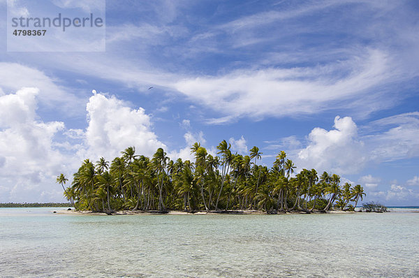 Blue Lagoon Lagune  Rangiroa-Atoll  Tuamotu-Archipel  Französisch-Polynesien  Süd-Pazifik