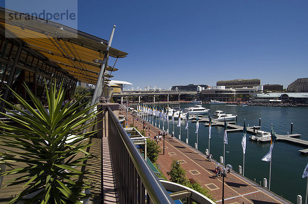 Stadtteil Darling Harbour  Sydney  New South Wales  Australien