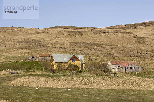 Häuser  Snaefellsnes Halbinsel  Island  Europa