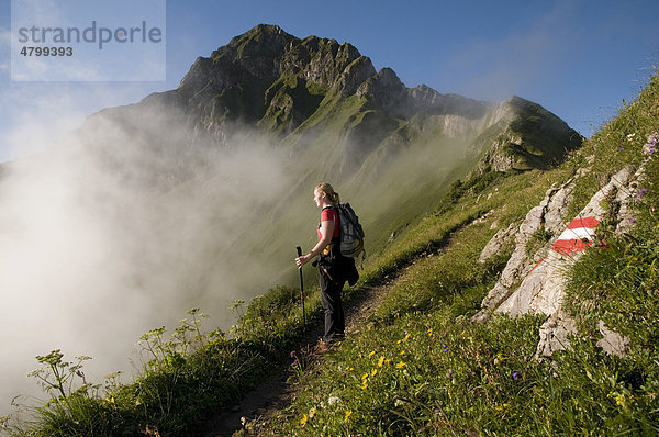 Wanderin  Eisenerzer Reichenstein  Eisenerz  Steiermark  Österreich  Europa