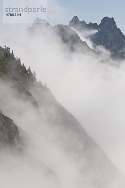 Nebelstimmung im Hochschwab  Eisenerz  Steiermark  Österreich  Europa