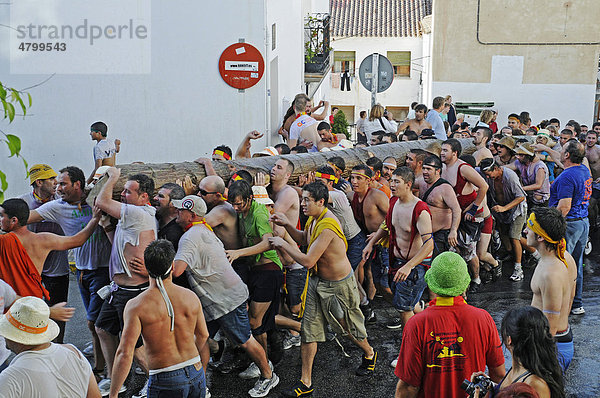 Viele Männer tragen einen Baumstamm  Fiesta de Sant Juan  Joan  Volksfest  traditionelle Veranstaltung  Tradition  Brauch  Brauchtum  Altea  Costa Blanca  Provinz Alicante  Spanien  Europa