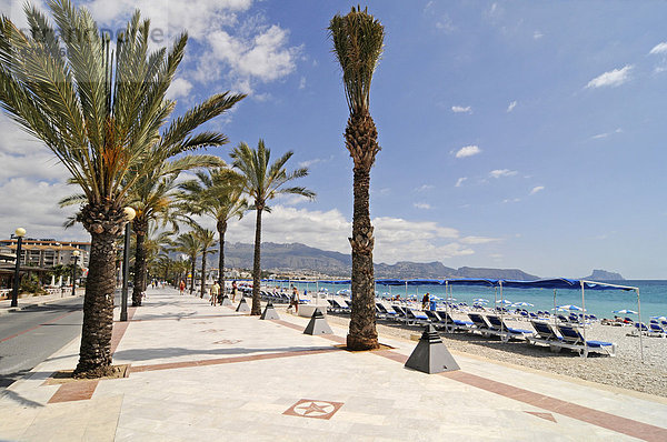 Promenade der Sterne  El Paseo de Estrellas  berühmte Persönlichkeiten  Uferpromenade  Strandpromenade  Albir  Altea  Costa Blanca  Provinz Alicante  Spanien  Europa
