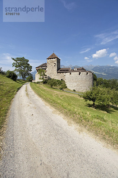 Ein Weg führt zu Schloss Vaduz  Sitz des Fürstenhauses und Wahrzeichen der Hauptstadt Vaduz  Fürstentum Liechtenstein  Europa