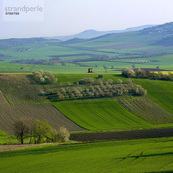 Grüne Felder  Auvergne  Frankreich  Europa