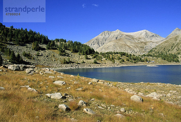 Allos See  Alpes de Haute Provence  Frankreich  Europa