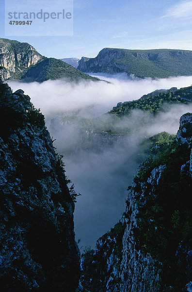 Verdonschlucht  Gorges du Verdon  Alpes de Haute Provence  Frankreich  Europa