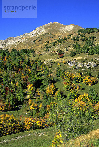 Nationalpark Mercantour  Alpes-de-Haute-Provence  Frankreich  Europa