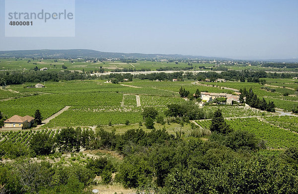 Cotes du Rhone  Provence  Frankreich  Europa