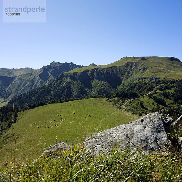 Gebirgsmassiv von Sancy  Auvergne  Frankreich  Europa