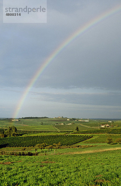 Weingut in CÙtes de Bourg  DÈpartement Gironde  Region Aquitaine  Frankreich  Europa