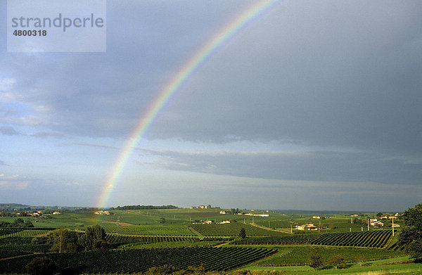 Weingut in CÙtes de Bourg  DÈpartement Dordogne  Region Aquitanien  Frankreich  Europa