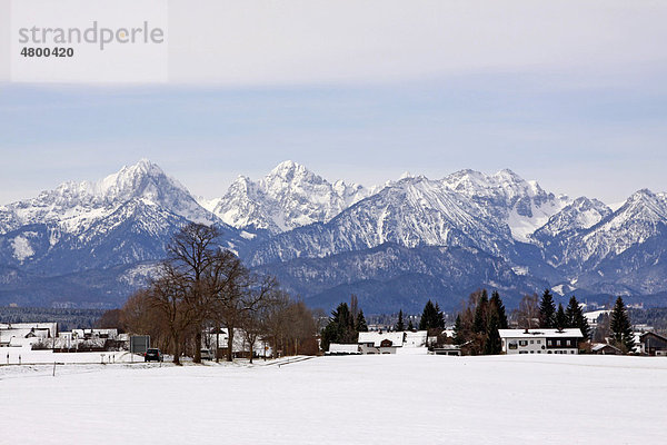 Alpen bei Schwangau  Neuschwanstein  Ostallgäu  Bayern  Deutschland  Europa