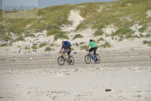 Zwei Fahrradfahrer auf Mountainbikes am Strand  Nordseeküste  Dänemark  Europa