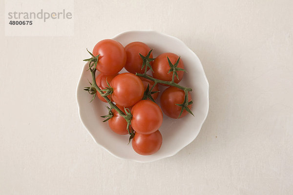 Frische Tomaten