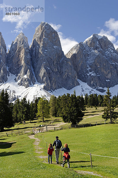 Adolf-Munkel-Weg unter den Geißlerspitzen  Geisslerspitzen  mit Furchetta Hauptgipfel  von der Glatschalm  Naturpark Puez-Geisler  Villnößtal  Südtirol  Italien  Europa