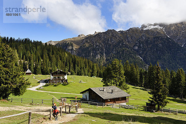 Adolf-Munkel-Weg unter den Geißlerspitzen  Geisslerspitzen  an der Glatschalm  Naturpark Puez-Geisler  Villnößtal  Südtirol  Italien  Europa