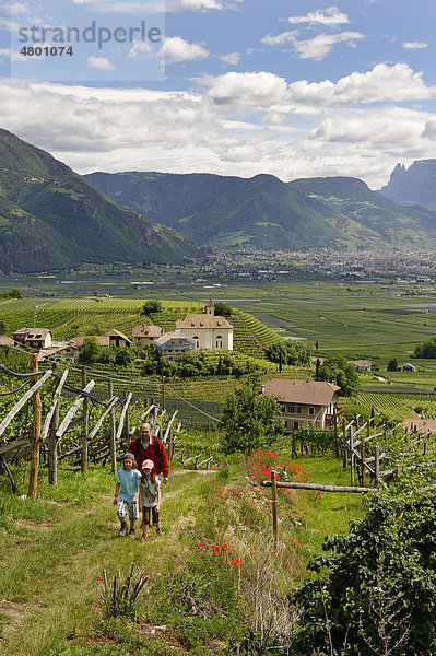 Vater und Kinder wandern in den Weinbergen von Missian bei Eppan an der Weinstraße  Überetsch  Bozener Unterland  Südtirol  Italien  Europa