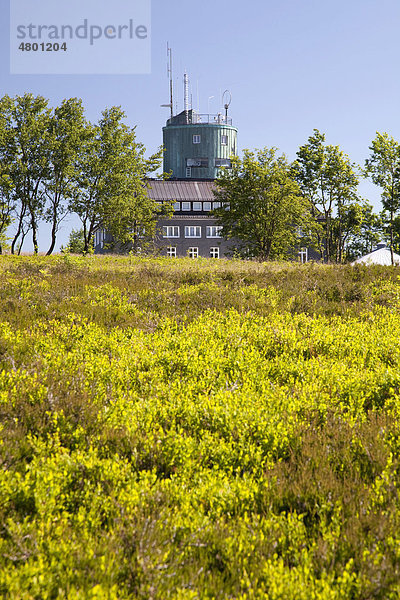 Astenturm  Naturschutzgebiet Hochheide  Kahler Asten  Winterberg  Sauerland  Nordrhein-Westfalen  Deutschland  Europa