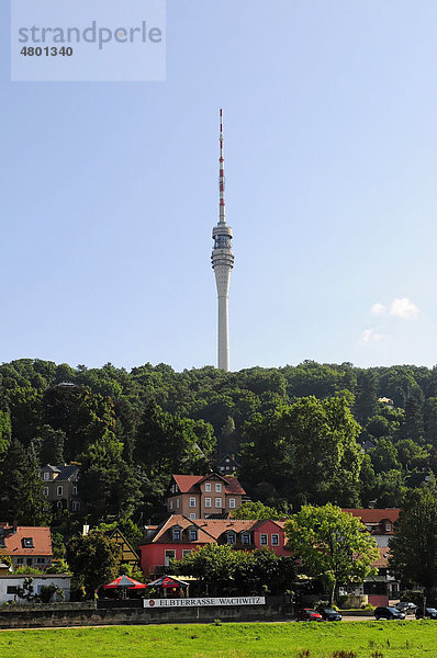Alter Fernsehturm in Wachwitz  252m hoch  Dresden  Sachsen  Deutschland  Europa