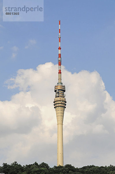 Alter Fernsehturm in Wachwitz  252m hoch  Dresden  Sachsen  Deutschland  Europa