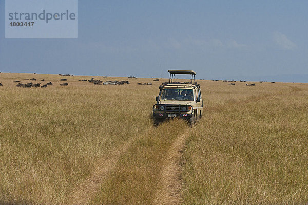 Geländefahrzeug in der Serengeti  Safari  Gamedrive  Tansania  Afrika
