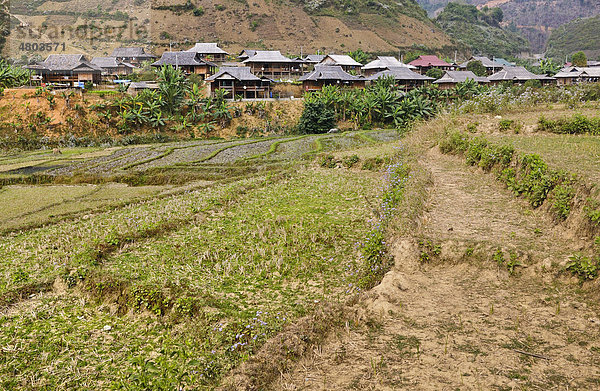 Häuser im Mai Chau Tal  Vietnam  Asien