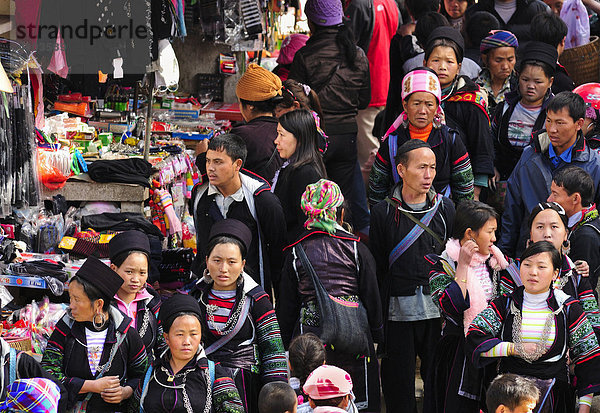 Markt von Sapa oder Sa Pa  Volksgruppe der Schwarzen Hmong  ethnische Minderheit  Nordvietnam  Vietnam  Asien