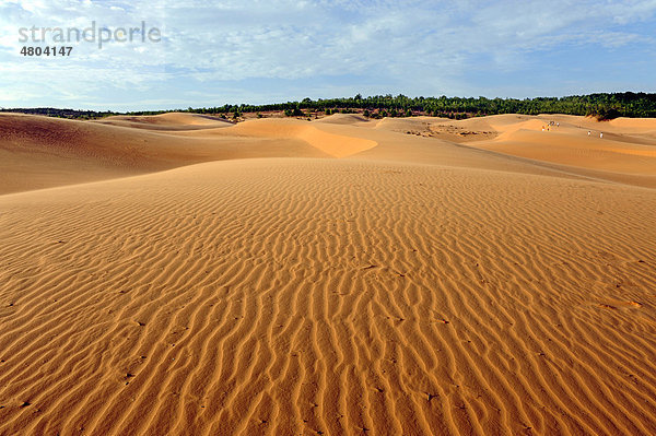 Die Roten Sanddünen nahe Mui Ne  Südvietnam  Vietnam  Südostasien  Asien