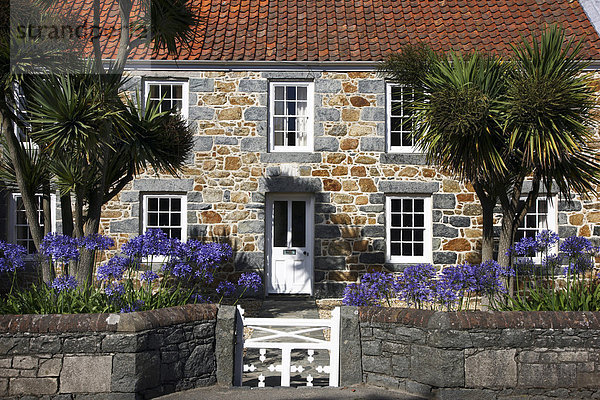 Typisches Guernsey Haus aus massivem Stein und Granit  mit vielen Blumen und Pflanzen  Guernsey  Kanalinseln  Europa