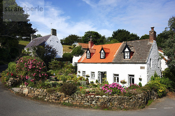 Typische Guernsey Häuser aus Stein mit viel Blumendekoration und üppigen Gärten  bei Les Nicolles  Guernsey  Kanalinseln  Europa