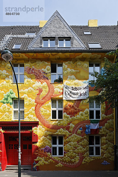 Kiefernstraße  Haus von ehemaligen Hausbesetzern  Fassade künstlerisch bemalt im Streetart-Stil  Düsseldorf-Flingern  Nordrhein-Westfalen  Deutschland  Europa