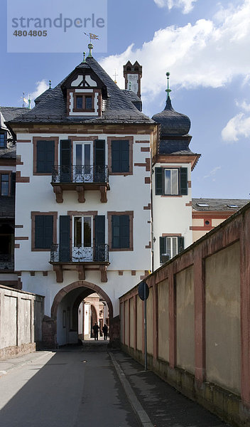 Detailansicht vom Schloss Weinheim in Hessen  Deutschland  Europa